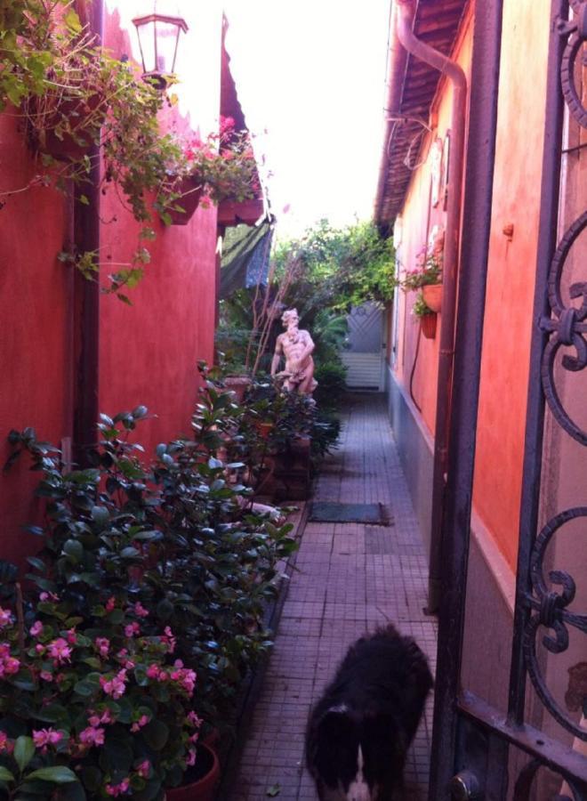 דירות טוסקניה Casa "Oasi" Centro Storico מראה חיצוני תמונה